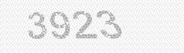 Visual security code — type the characters shown in the image